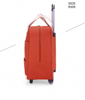 Pull Rod Luggage Bag