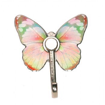 Painted Butterfly Hook